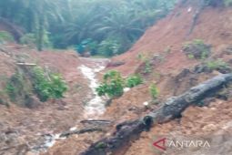 Mukomuko bangun jalan darurat untuk pengalihan jalan putus