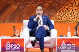 Antisipasi perubahan iklim, Indonesia komitmen capai emisi nol bersih pada 2060