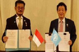 FOA: Indonesia berhasil swasembada beras