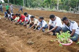 Biak gencarkan ketahanan pangan kendalikan inflasi daerah