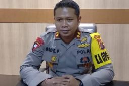 Flash - Polisi tangkap DPO kasus mutilasi di Timika
