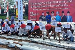 Maluku terus dorong operasi pasar untuk tekan inflasi