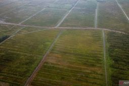 Pengamat: "Food Estate" harus jadi corong pembaruan sistem pertanian nasional