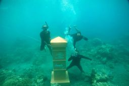Pantai GWD Banyuwangi suguhkan tempat swafoto kotak pos dasar laut