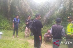 Polisi cari siswa magang hilang di lokasi tambang batu bara
