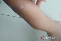 Spektrum - Kekerasan terhadap anak harus dihentikan