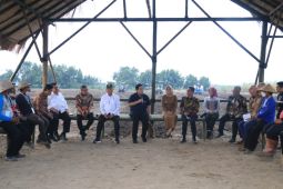 Erick Thohir membentuk Sugar Co untuk jaga ketahanan pangan