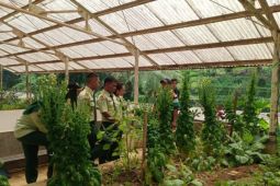 Tingkatkan produktivitas, mahasiswa Polbangtan Kementan manfaakan pupuk organik