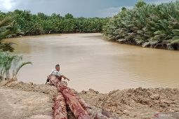 Pelabuhan Desa Bumi Harapan Sepaku ditunjuk sebagai  jalur material IKN