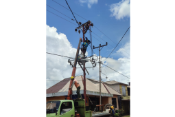 PLN lakunan perbaikan dan pemeliharaan jaringan listrik di Ketapang