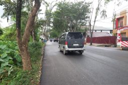 Cuaca ekstrem pepohonan perlu dipangkas