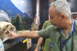 Tim penilai UNESCO lakukan kunjungan ke Situs Batu Silindrik Pratintuo