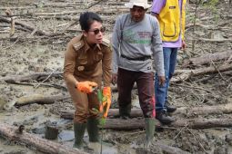 Lions Club dan Pemkot Singkawang tanam 10.000 Mangrove di kawasan pesisir