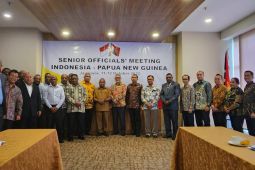Pemerintah dorong pembukaan pintu perbatasan PNG pulihkan ekonomi