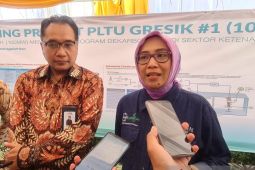 PLN Nusantara Power uji coba "Co-Firing" dengan Amonia di Gresik