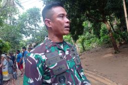 TNI kembangkan tanaman sorgum seluas empat hektare di Lebak