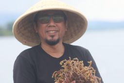 Pemkab Bangkep  imbau masyarakat waspadai dampak cuaca ekstrem