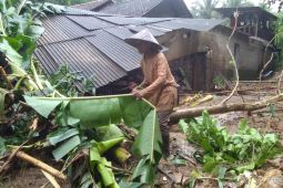 Kakak beradik di Pacitan luka-luka tertimbun material longsor