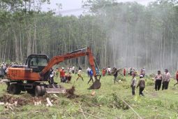 PTPN X optimalkan aset melalui penanaman sejumlah komoditas di Jember