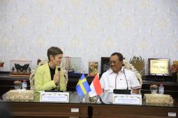 Pemkot Surabaya terima kunjungan Dubes Swedia bahas transportasi massal
