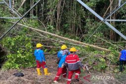 PLN percepat pemulihan gangguan jalur transmisi di Kalteng