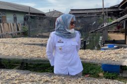 Tanggapi keluhan, Pj Bupati Tapteng kunjungi penjemuran ikan di Hajoran
