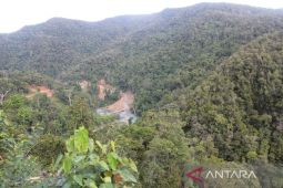 Greenpeace apresiasi masyarakat adat Teminabuan lindungi hutan