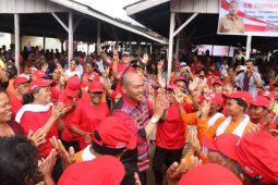 Sewindu Bupati Nikson Nababan Untuk Tapanuli Utara