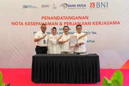 BNI perluas sinergi dengan gandeng Bank Papua, begini penjelasannya