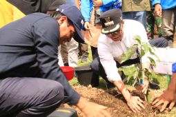 UIN Ar-Raniry tanam 2000 Bibit Pohon Mangrove di Tibang