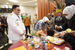 Kediri kembangkan kawasan budi daya nanas Pasir Kelud