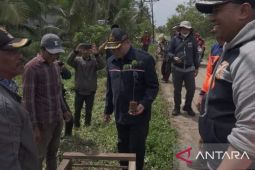 Pemkab Kubu Raya gencarkan penanaman pohon upaya melestarikan lingkungan