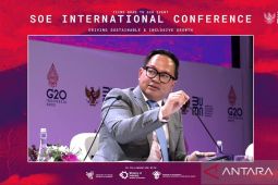 Wamen BUMN: penggunaan Peduli Lindungi sedang didiskusikan