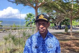 Tiniap: 56 kasus baru COVID-19 di Papua Barat bergejala ringan