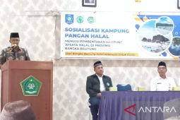 MUI Babel perkuat kemitraan wujudkan kampung wisata