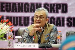 BPKP : Empat Pemkab di Kalsel beresiko gagal capai target PAD