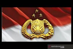 Berpadu Hati Menghempas Badai