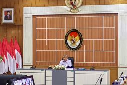 Wantannas usulkan perlu ada upaya deinternasionalisasi Papua
