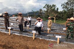 Wujudkan ketahanan pangan, Forkopimda Tapsel tanam perdana palawija di lahan kosong
