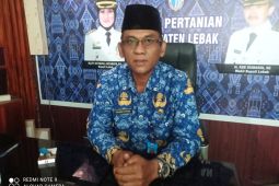 Distan Lebak  kembangkan jagung dan sorgum 1.300 hektare dukung pangan