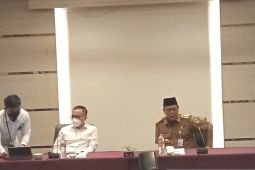 Men-PANRB apresiasi komitmen 13 kabupaten/kota Kalsel bangun MPP