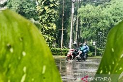 Hari ini Jatim diprakirakan hujan deras disertai angin kencang