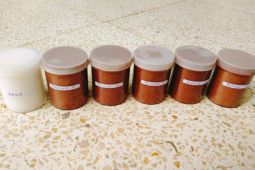 Dosen Unja temukan krim lulur ekstrak daun surian dan serbuk biji kurma