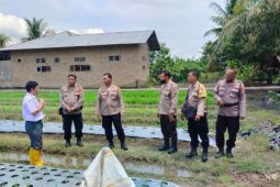 Binmas Polres Tebing Tinggi lakukan pengecekan dan peninjauan ketahanan pangan