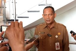 BPBD Kalsel: masalah Karhutla dapat dikendalikan
