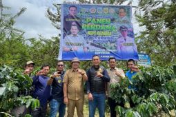 Pemkab Dairi panen kopi  arabika di demplot percontohan Desa Bangun