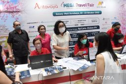 Mega travel fair