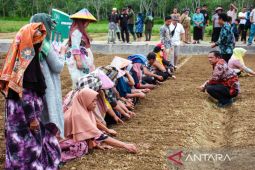 Wali kota ajak masyarakat tanam bawang merah
