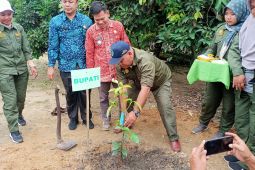 Batanghari bagikan 10 ribu batang manggis  untuk warga
