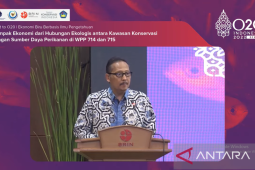 Indonesia-Inggris memperkuat kerja sama riset kebencanaan